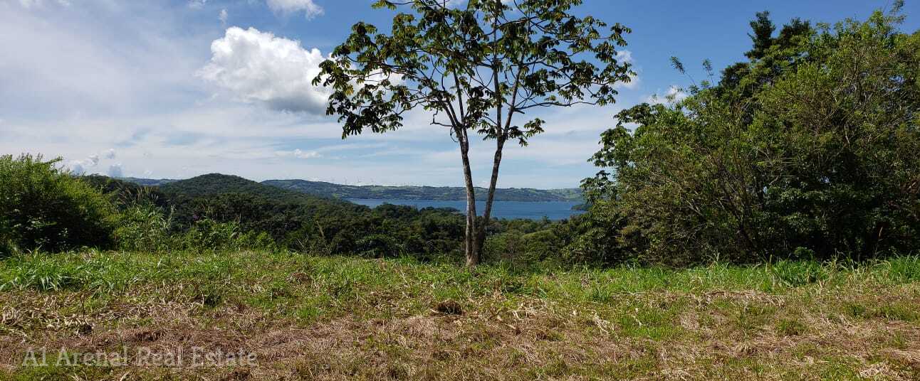 Estate Sized Lot with Great Lake View